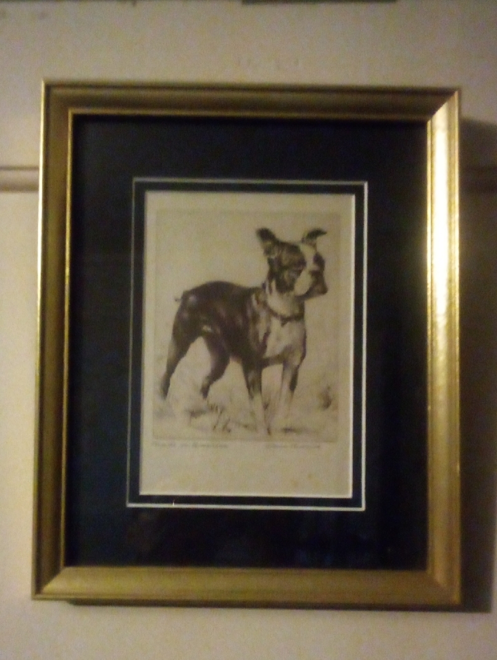 Boston Terrier 1936 Diane Thorne Original Art Framed & Matted 11" X 9"